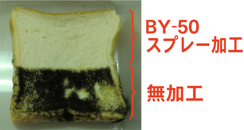 BY-50防かびテスト