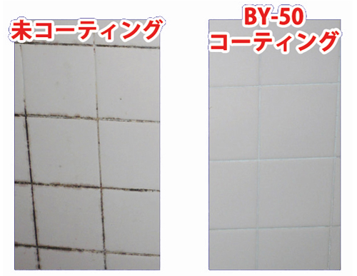 BY50防かびテスト